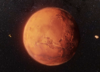 Mars missions could cause permanent kidney damage in astronauts, study warns