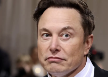 Elon Musk offered horse to SpaceX flight attendant in exchange for sex: Report