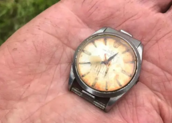 UK: Rolex watch "eaten" by cow recovered after 50 years