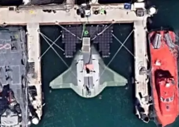 Manta Ray