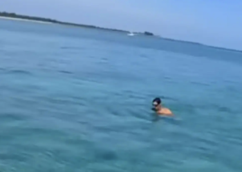 Watch: Florida man jumps into ocean to avoid giving girlfriend and cops his phone password