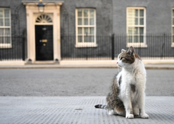 Who is Larry the Cat, the ‘chief mouser’ who welcomed his sixth UK Prime Minister at 10, Downing Street?