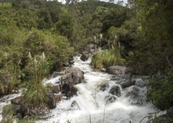 Historic decision: Ecuadorian court rules that pollution has violated the rights of Machángara river