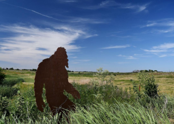 Panicked teens call 911 over Bigfoot sighting in Louisiana forest