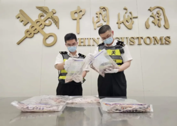 A man attempting to smuggle more than 100 live snakes into mainland China was apprehended by customs officers in Shenzhen, according to the country's customs authority.