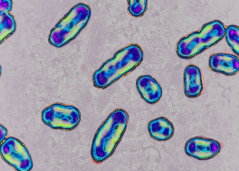 Health officials confirm human case of plague in Colorado: Symptoms and precautions