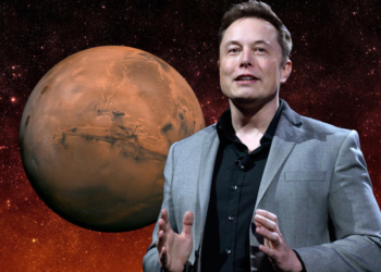 Elon Musk denies volunteering his sperm to help seed a colony on Mars 