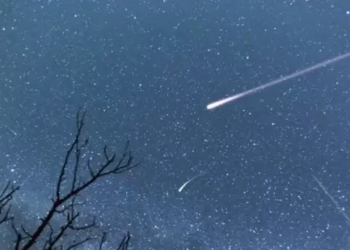 Spectacular Perseid meteor shower to light up the sky this week: Here's how to watch