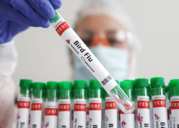 Finland becomes first country to offer bird flu vaccines for humans