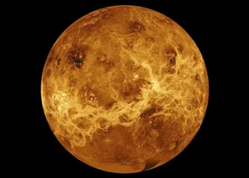 Astronomers find two crucial gases on Venus, sparking debate on possibility of life on the planet