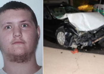 Florida man runs over grandmother over melted candy bar, shot dead by police