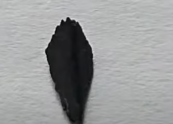 Lighter-than-petal debris of alien craft found on Earth, UFO hunters claim 'non-human' origin