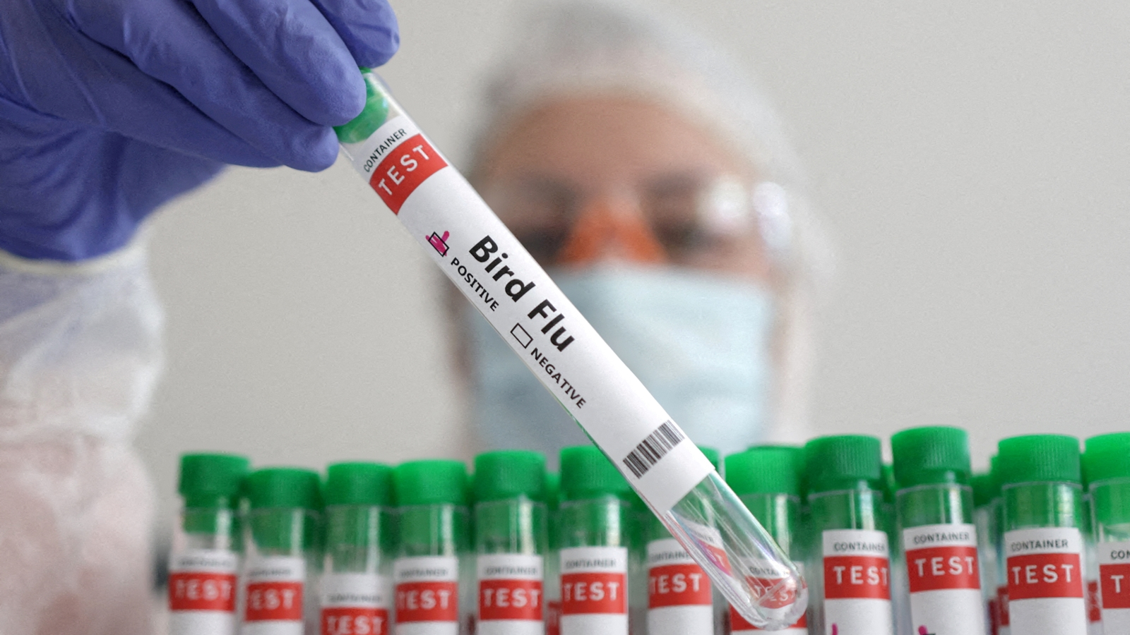 Bird Flu: US awards $176 million contract to Moderna for pandemic ...