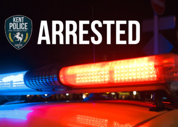 Washington State: Brave pre-teens thwart kidnapping attempt, save six-year-old girl