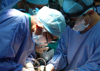Shocking medical case: Doctors extract massive two-pound hairball from woman's stomach