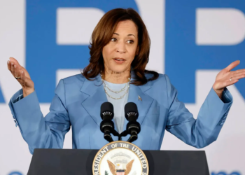 Kamala Harris joins the presidential race: Who could be her running mate?