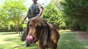 North Carolina deputies use innovative tracking method to reunite autistic child with family