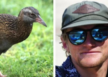 Race to Survive: New Zealand: US reality TV show contestant kills and eats endangered bird