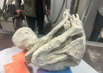 Peru: ‘Alien mummies’ discovered with fingerprints that are ‘not human’