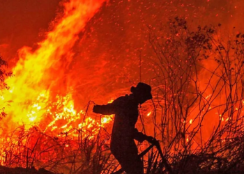 Arizona: Man arrested for burning American flag and sparking wildfire that devastates 2,000 acres and 21 homes