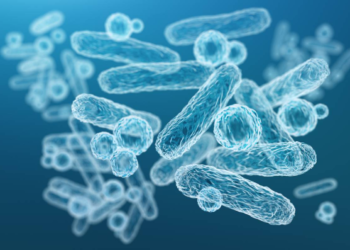 Common mouth bacteria found to 'melt' certain cancers in revolutionary discovery