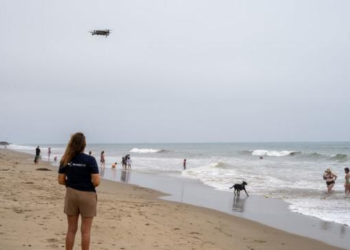 On summer mornings, children flock to Padaro Beach in California to learn to surf in the gentle whitewater waves. However, a few years ago, the beach also became a popular hangout for juvenile great white sharks, prompting the launch of SharkEye, an initiative by the University of California Santa Barbara’s Benioff Ocean Science Laboratory (BOSL).