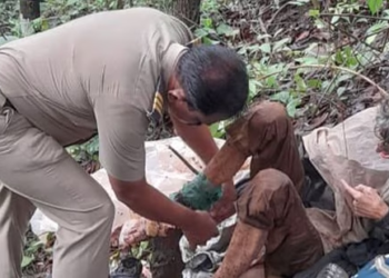A 50-year-old American woman, Lalita Kayi, was found chained to a tree in Maharashtra's Sindhudurg district. Kayi, discovered by a shepherd in Sonurli village, was left without food for 40 days. She was rescued, and police were alerted.