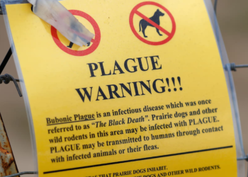 Colorado health officials have confirmed a resident has contracted the bacterial infection responsible for the Bubonic Plague, a deadly disease that can cause patients to cough up blood. The method of infection remains unknown, though the bacteria can be transmitted via contact with wild rodents, infected flea bites, or droplets from an infected person.