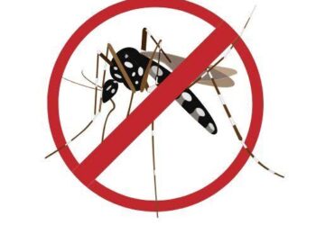 How to ensure optimal platelet count in dengue?
