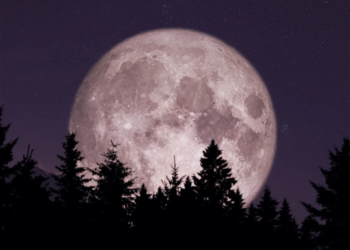 Scientists propose cryogenic lunar biorepository to preserve Earth's species