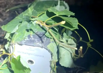 New York: Hidden camera found outside home as disturbing trend spreads nationwide