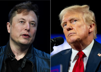 Trump and Musk to sit down for major interview: Will it break the internet?