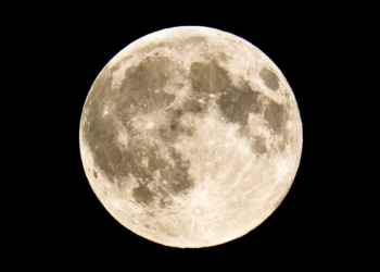 Scientists propose lunar 'life bank' to preserve endangered species