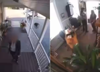 Caught on camera: Secret Service agent breaks into salon during Kamala Harris' visit to Pittsfield, apologizes