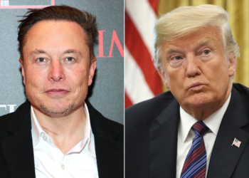 Elon Musk offers to join Trump administration if elected