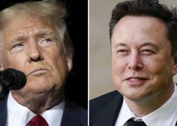 Breezy Explainer: What is DDoS attack that interrupted Elon Musk's interview with Donald Trump on X?