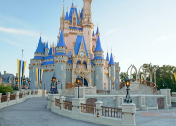 Florida: Disney+ free trial subscription blocks man’s lawsuit over wife’s tragic death at resort