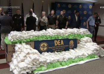 DEA uncovers $3.2 million worth of meth hidden in celery at Georgia market