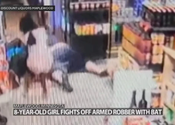 Minnesota: 8-year-old girl fights off armed robber with baseball bat | Watch
