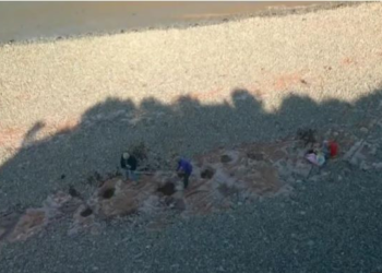 Girl discovers dinosaur footprints on beach walk