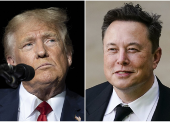 Trump open to offering Elon Musk cabinet role if re-elected