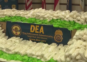 California: Over 600 pounds of methamphetamine discovered in celery shipment