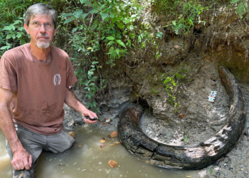 Fossil hunter unearths rare ice-age 7-foot-long mammoth tusk in Mississippi