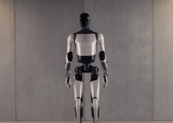 Elon Musk offers $100,000 for unusual role in Tesla’s robot program