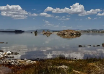 California lake full of cyanide discovered to have previously unknown creatures