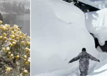 Watch: California hit by early August snow for the first time in 20 year