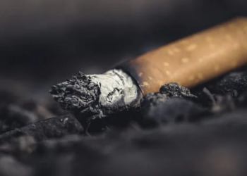 Washington: DNA from discarded cigarette butt leads to arrest in 1980 murder