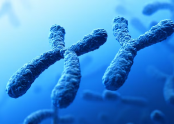 Y chromosome is slowly vanishing: Are males facing extinction?