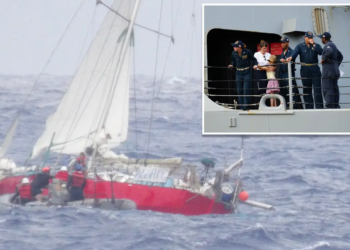 Miraculous rescue: Mom, child, tortoise, and cat saved 925 miles off Hawaii coast during Hurricane Gilma