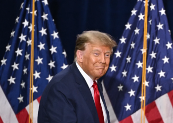 Watch: Donald Trump announces significant role for Elon Musk if he wins the election